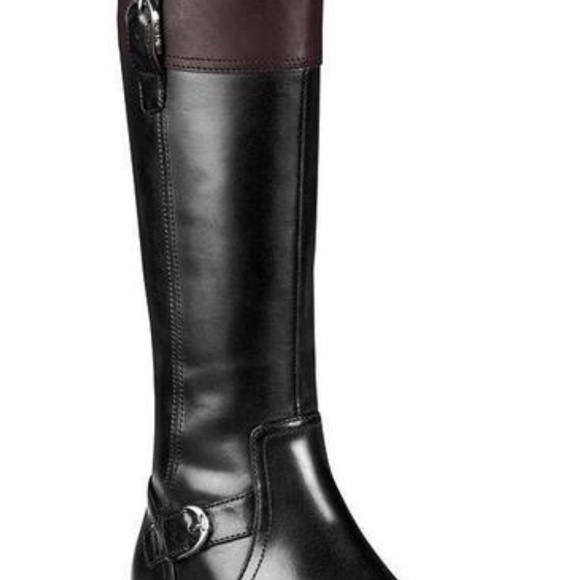 Ariat Shoes - Ariat Ladies York Black/Cordovan Black Boot